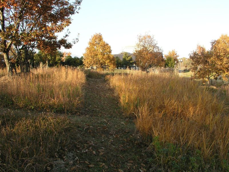 PC010012