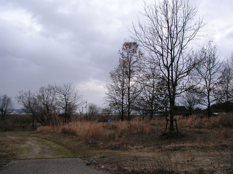 P1280445