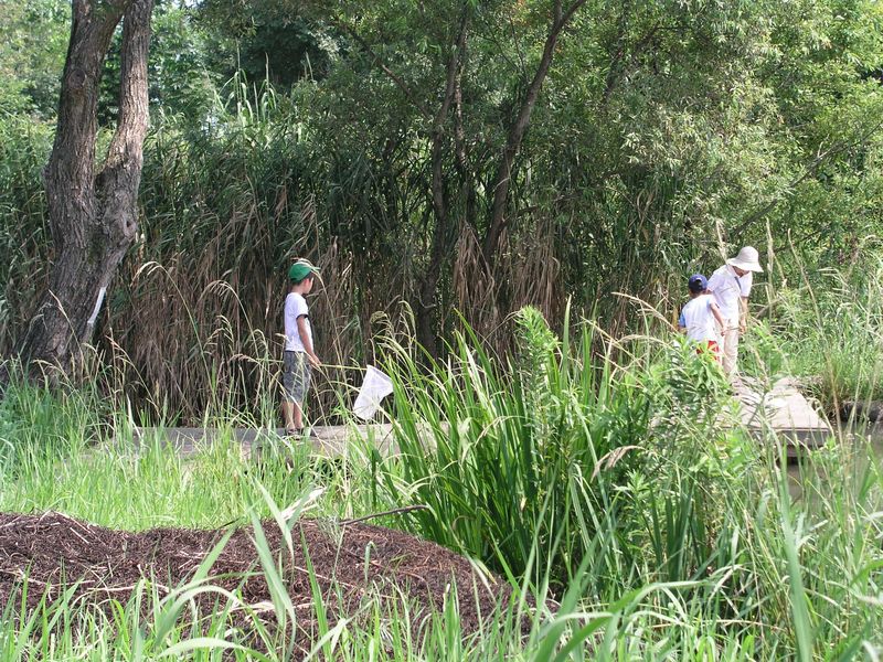 P8250004