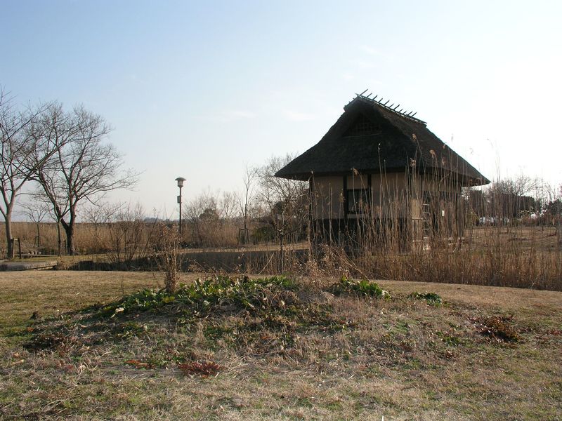 P2030486