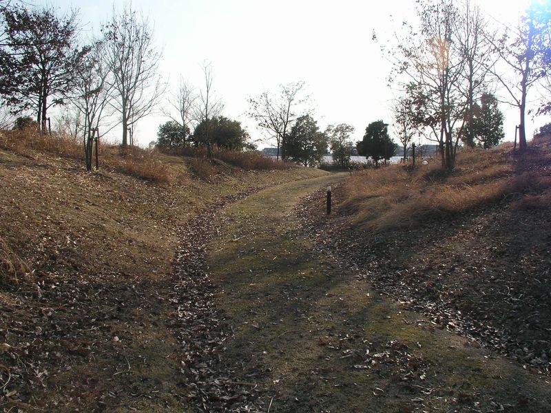 P2030488