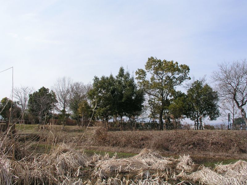 P2230653