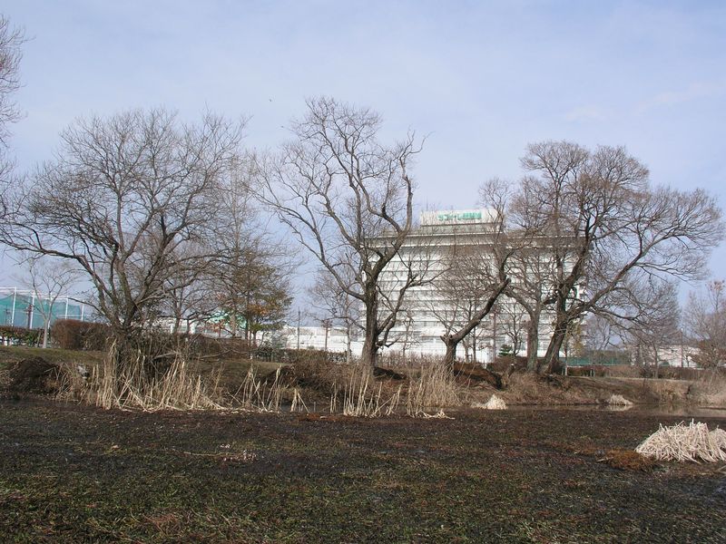 P2230654