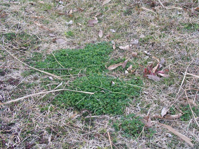 P3090018