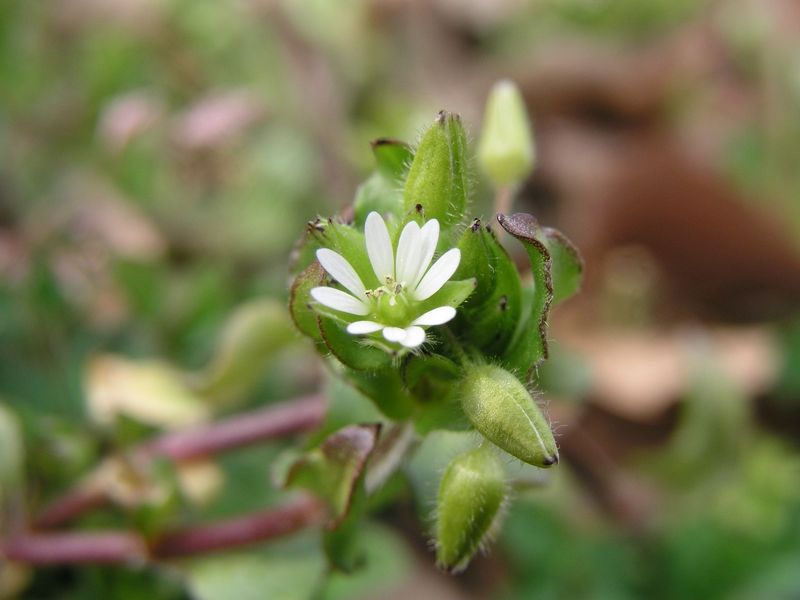 P3140067