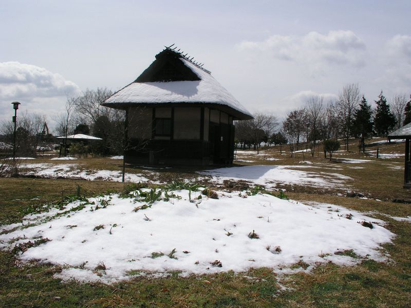 P3180093