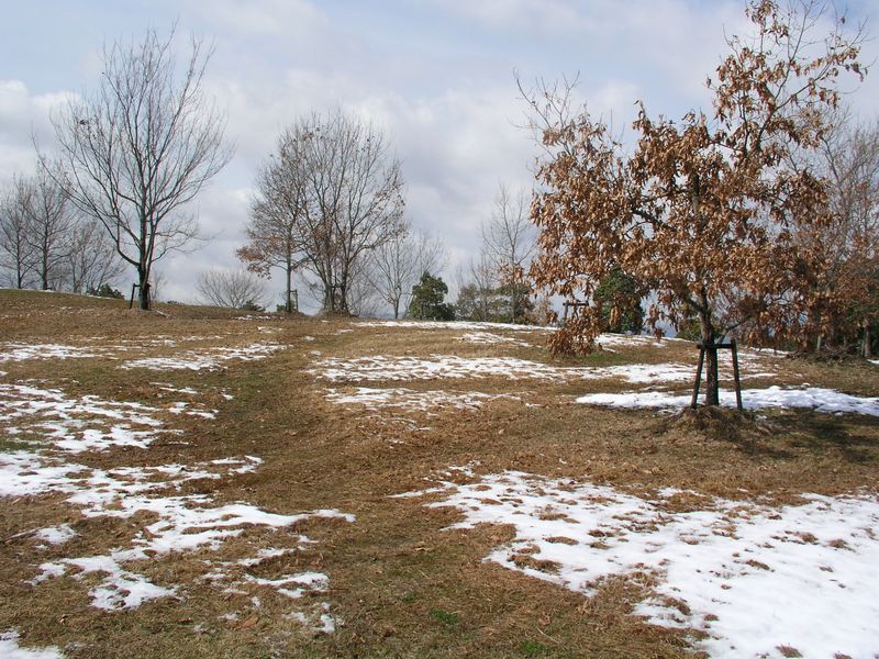 P3180096
