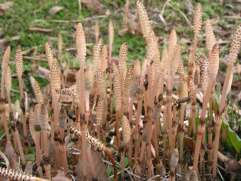 P3250377