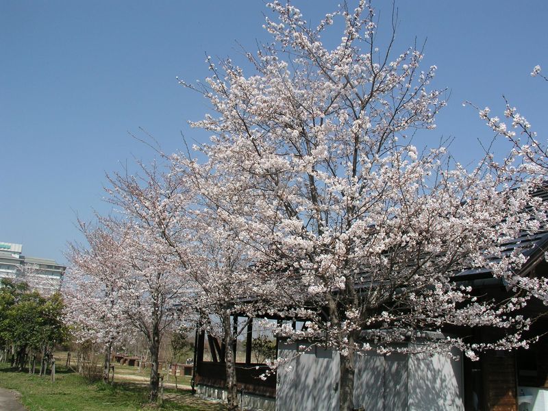 P4130111