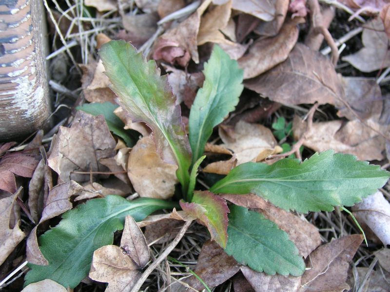 P1120132