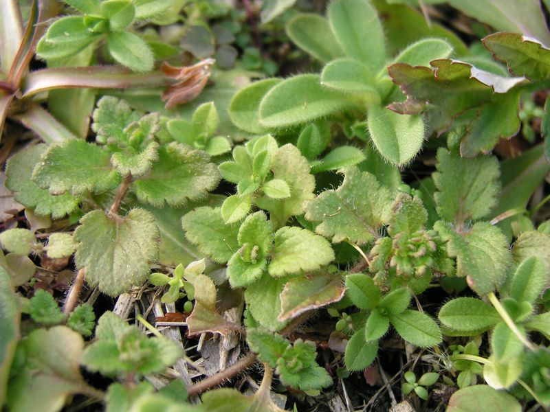 P1140158