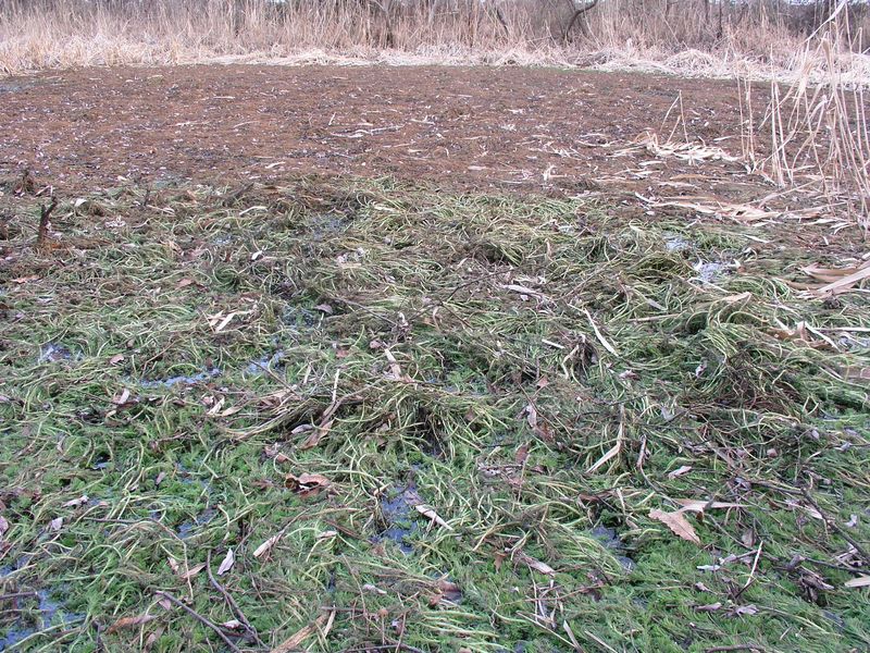 P1240424