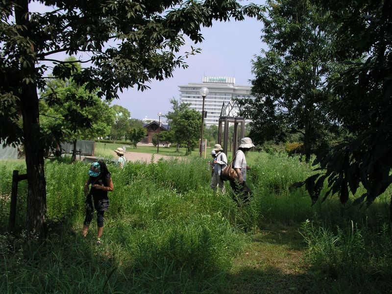 P8240007