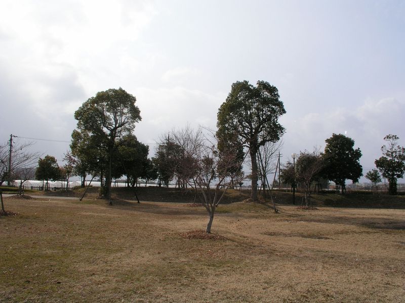 P2130559