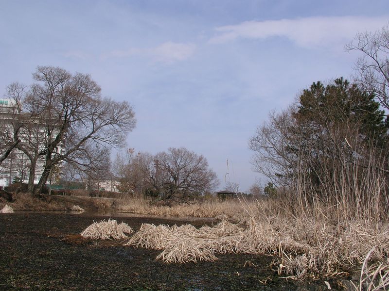 P2230655