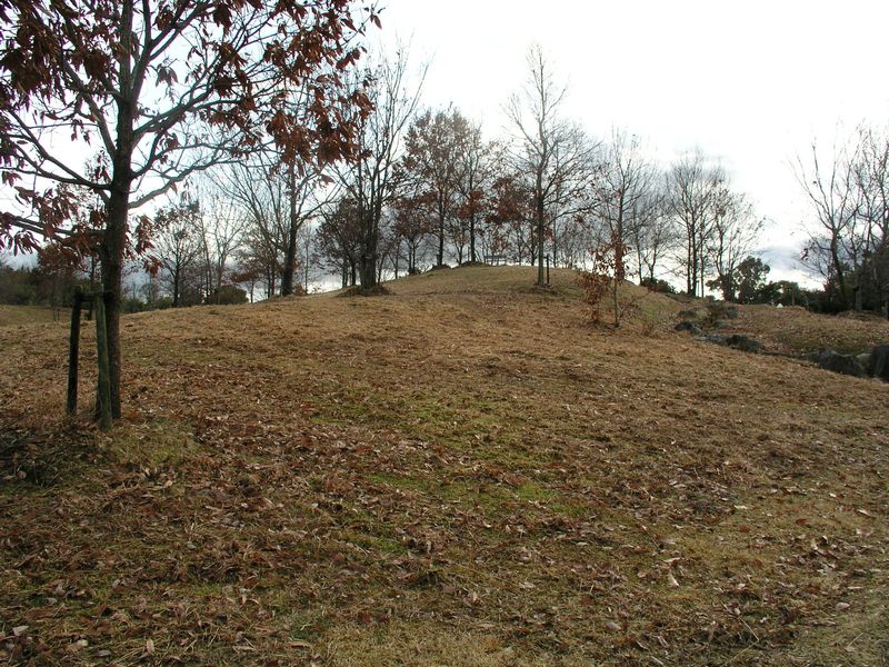 P2280019