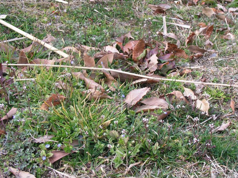 P3090024