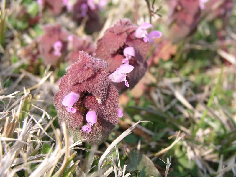 P4030488