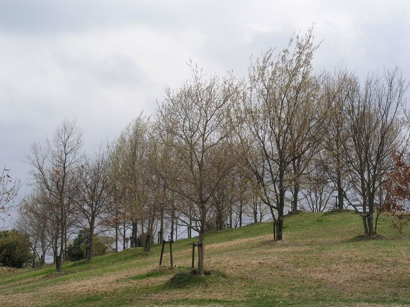 P4180270