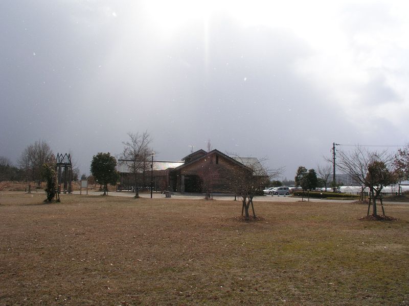 P2130556
