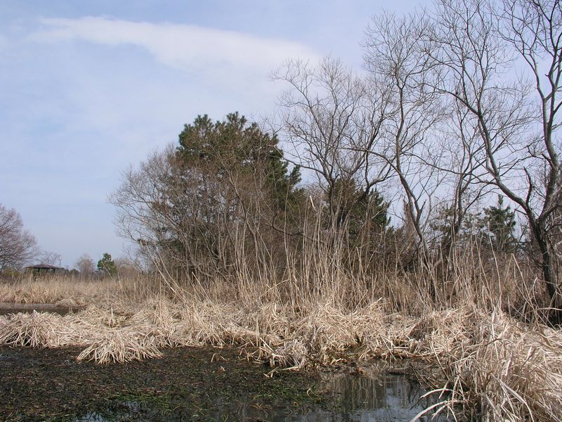 P2230656