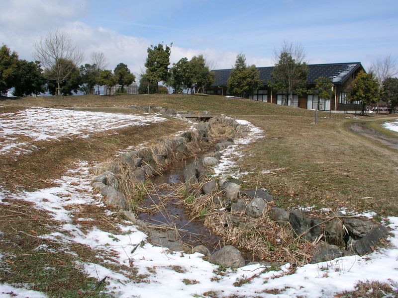 P3180095