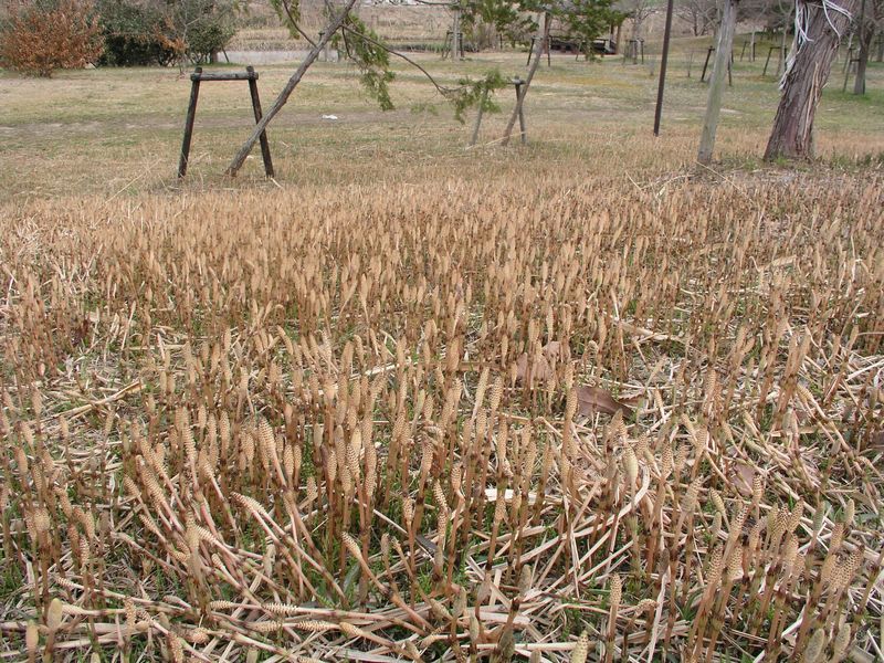 P3250375
