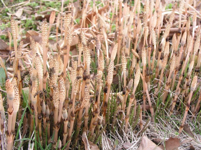 P3250379