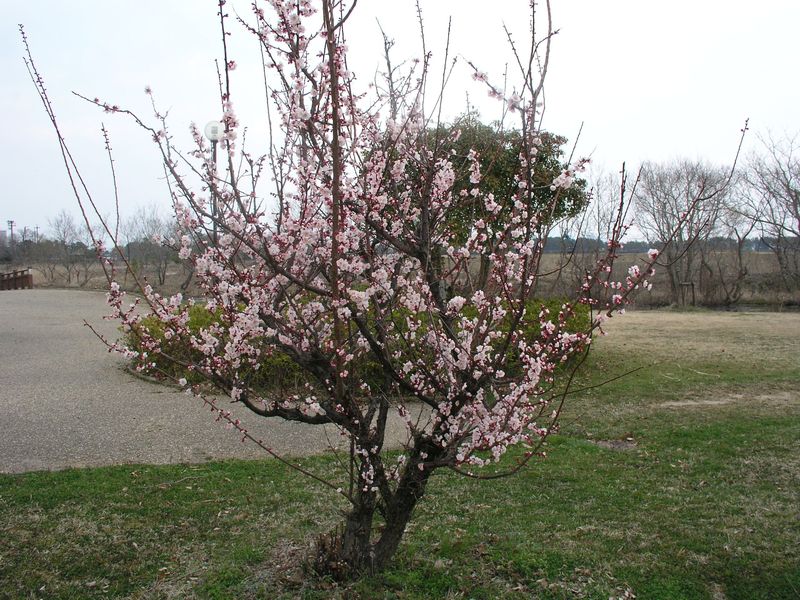 P3300424
