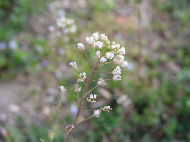 P4030491