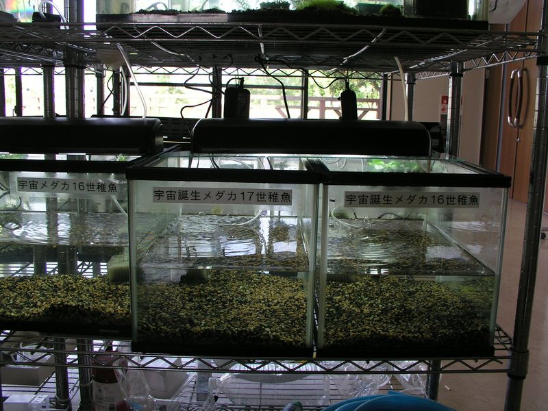 P5250002