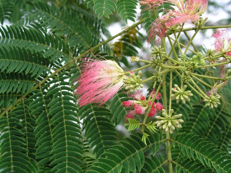 P7010007
