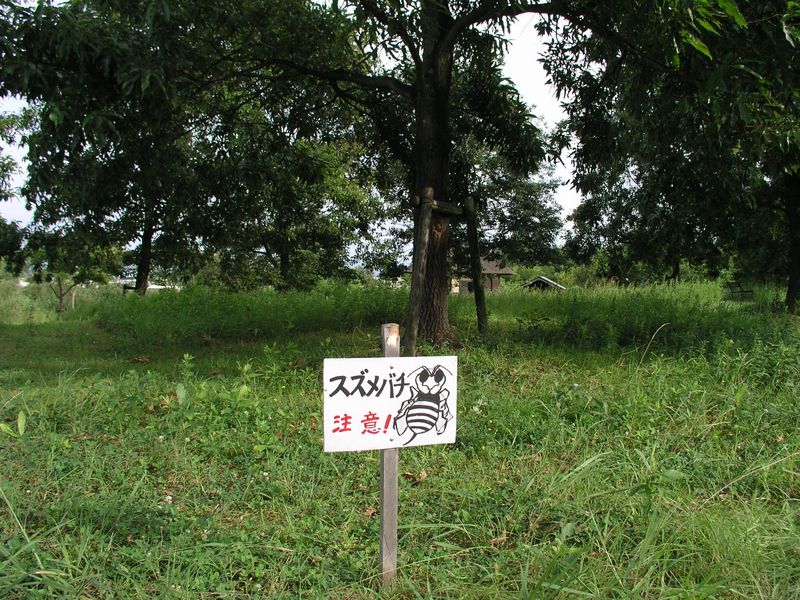 P7290031