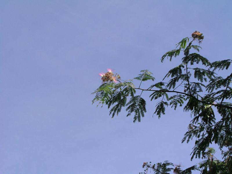 P8070023