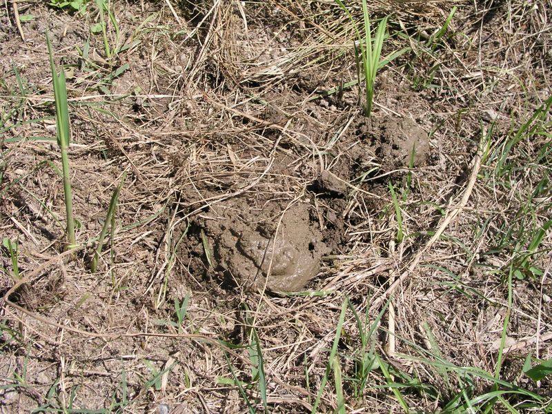 P8070025