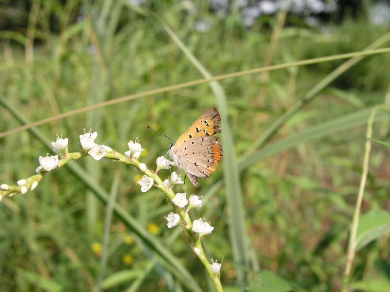 P8150002