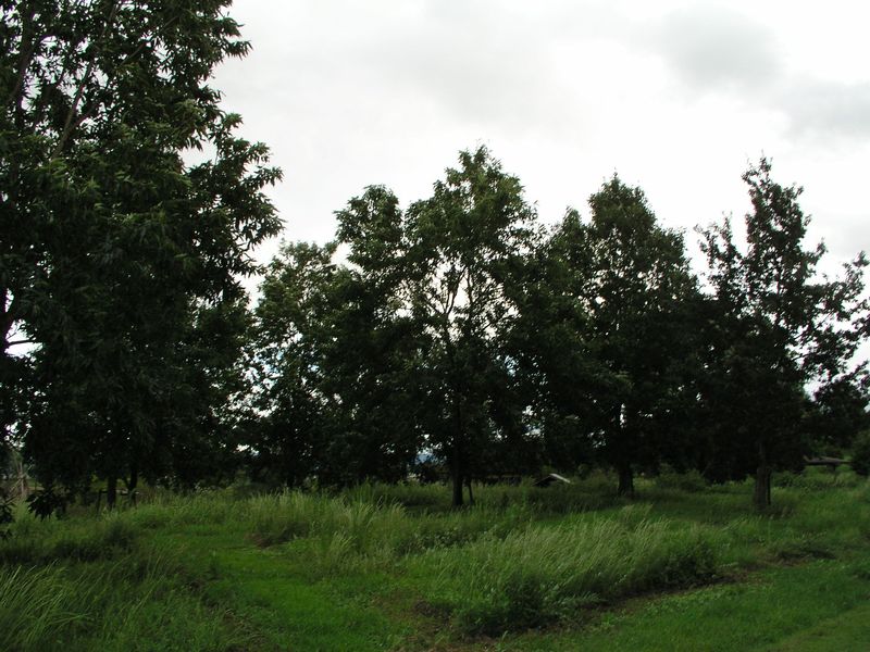 P9210113