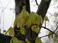 P4230370