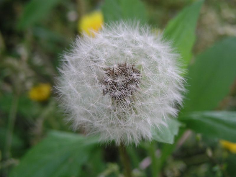 P1010518