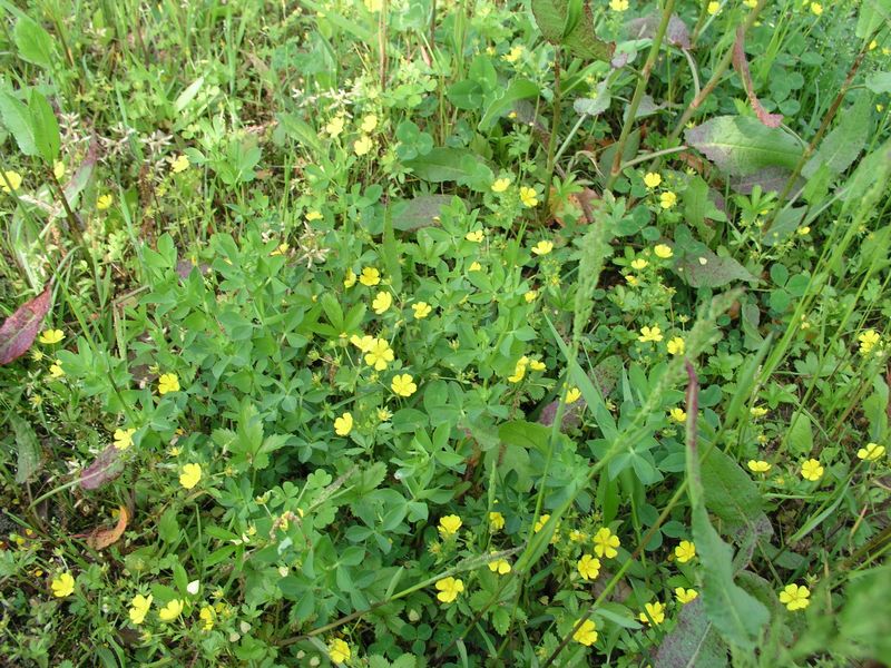 P5200007