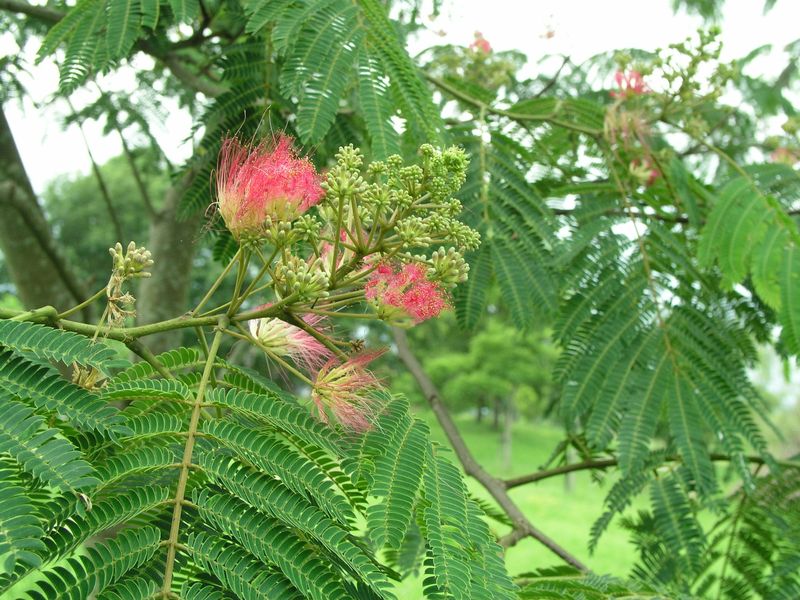 P7010010