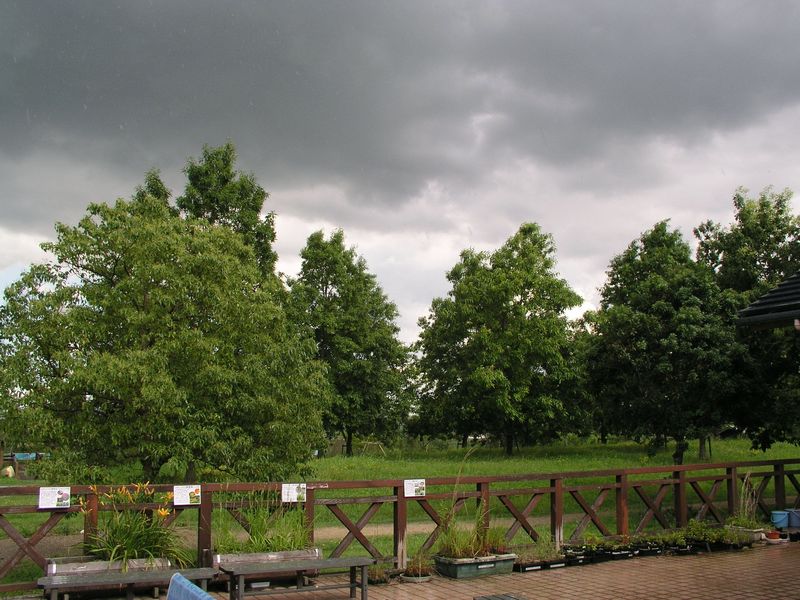 P7110011