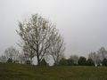 P4230367
