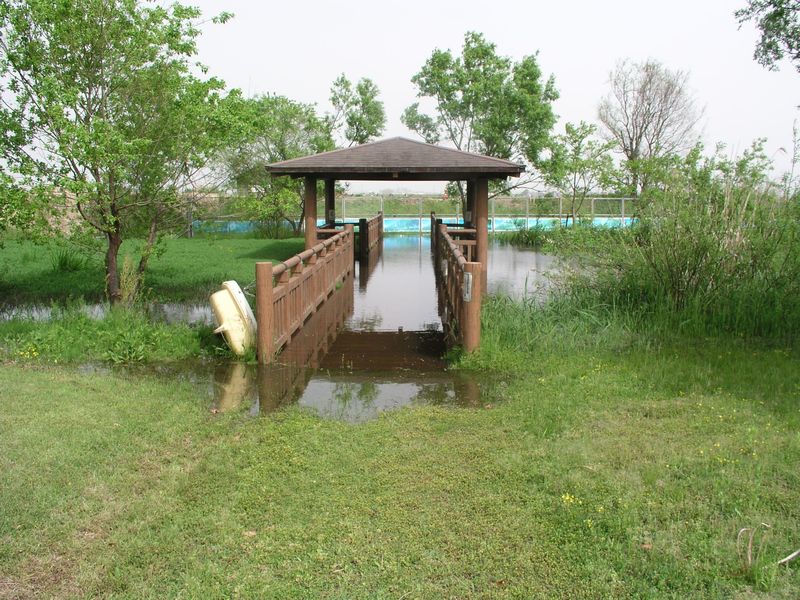 P1010006