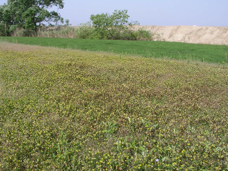 P5200016