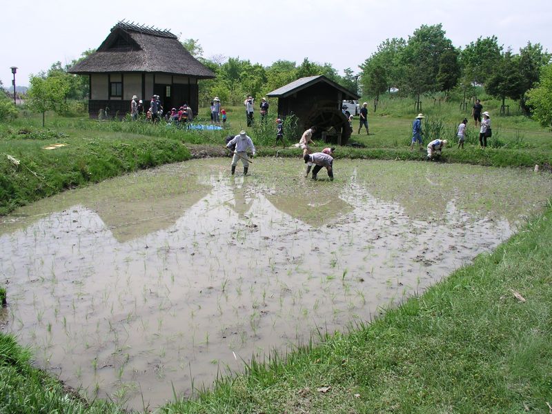 P5210053
