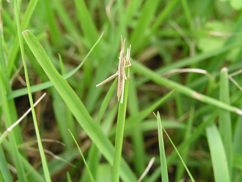 P6200007