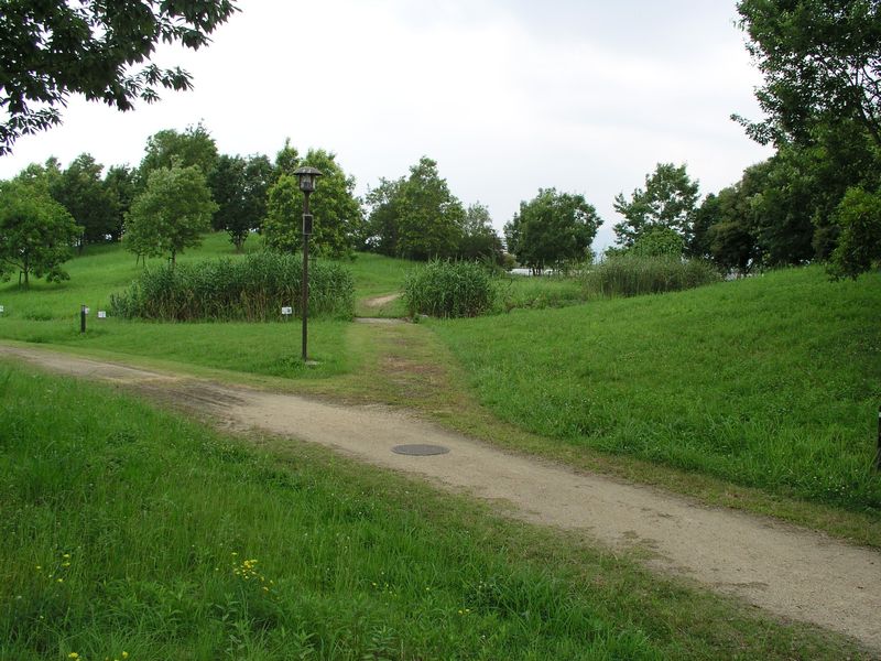P7060023