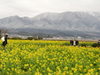 20080114_004