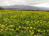 20080114_012_2